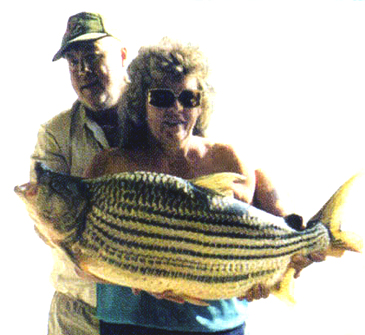 Record photograph for Hydrocynus vittatus